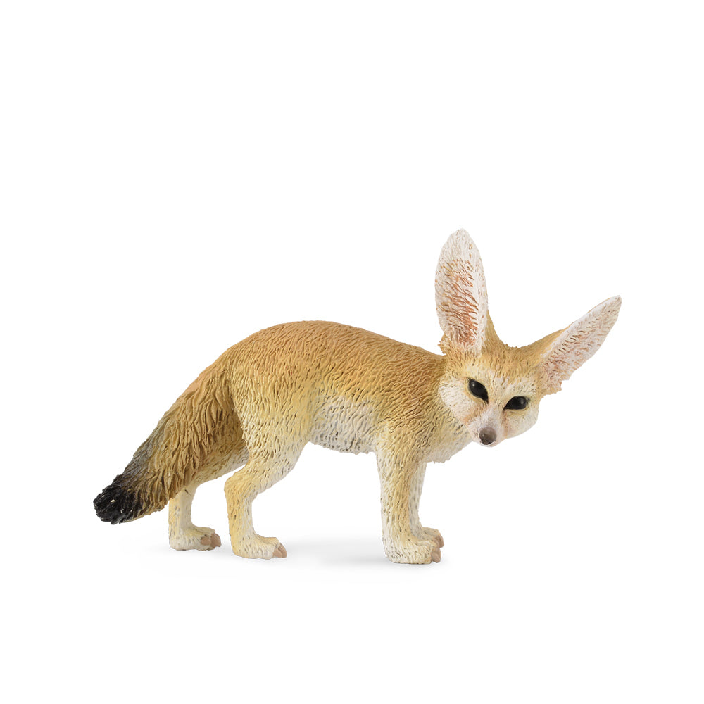COLLECTA - FENNEC FOX (S) - Toyworld Frankston