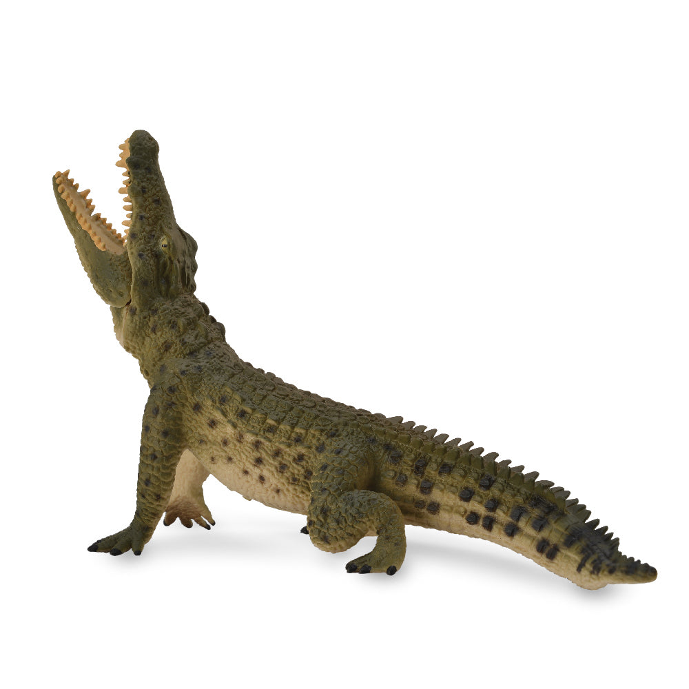 COLLECTA - CROCODILE LEAPING (MOVABLE JAW) (XL) - Toyworld Frankston