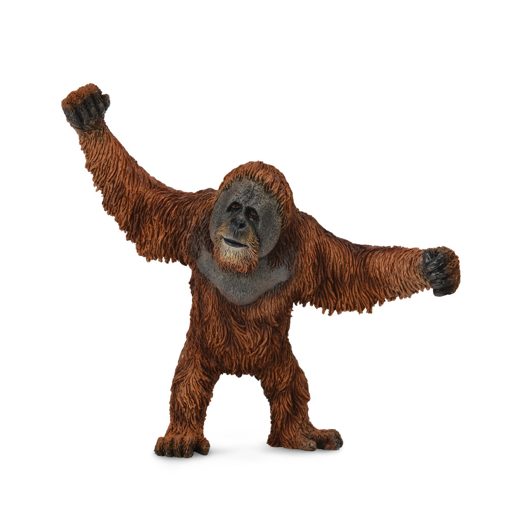 COLLECTA - ORANGUTAN - Toyworld Frankston