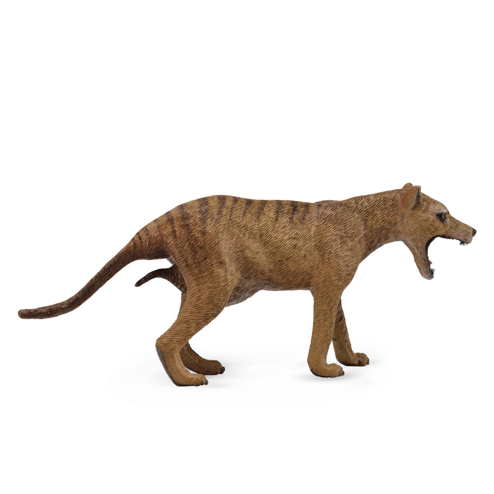 COLLECTA - THYLACINE TASMANIAN TIGER FEMALE - Toyworld Frankston