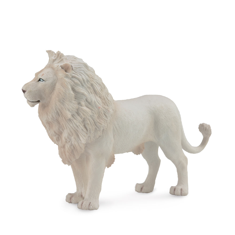 COLLECTA - WHITE LION - Toyworld Frankston