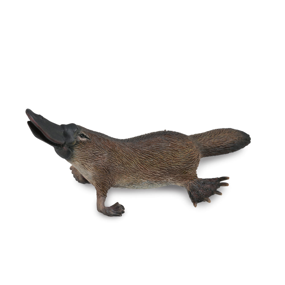 COLLECTA - PLATYPUS - Toyworld Frankston