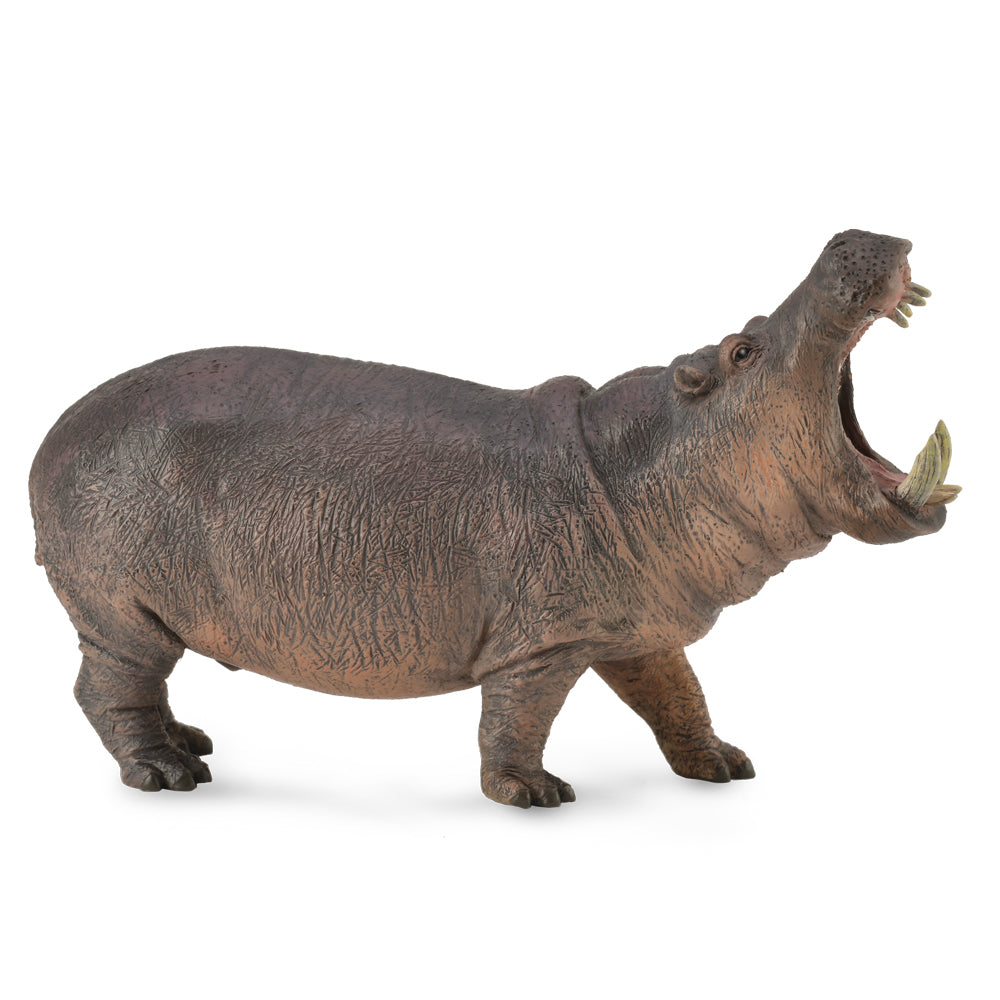 COLLECTA - HIPPOPOTAMUS - Toyworld Frankston