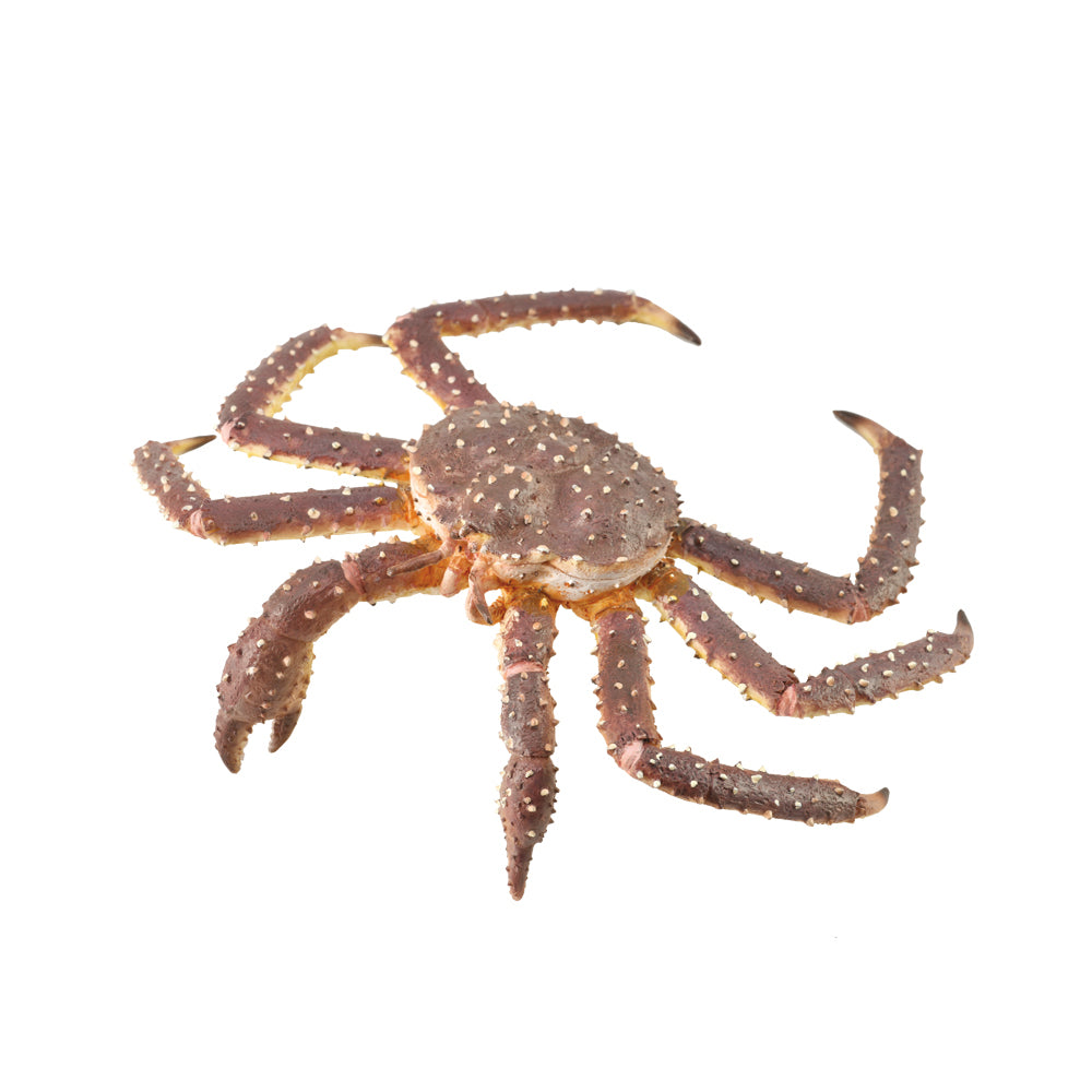 COLLECTA - KING CRAB - Toyworld Frankston