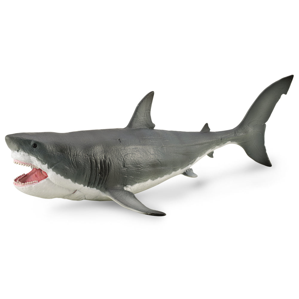 COLLECTA - MEGALODON WITH MOVABLE JAW - Toyworld Frankston