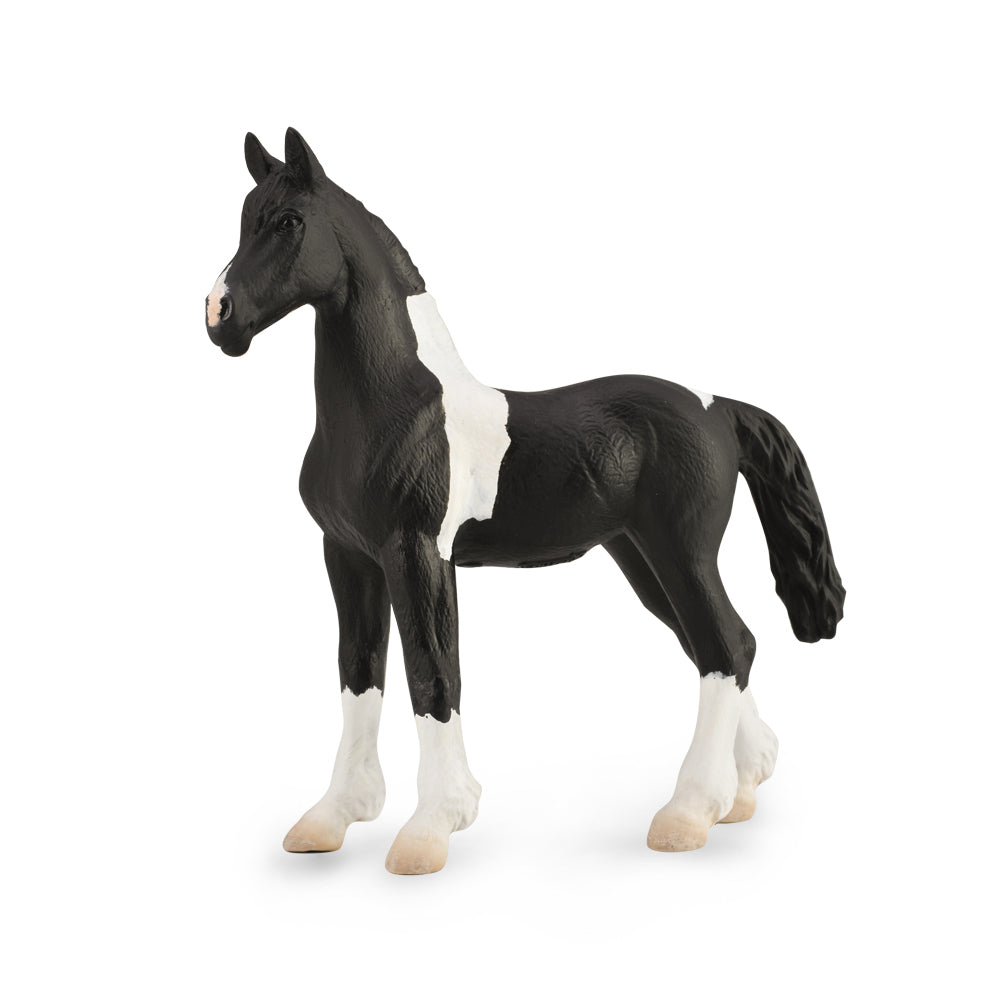 COLLECTA - BAROCK PINTO FOAL - Toyworld Frankston