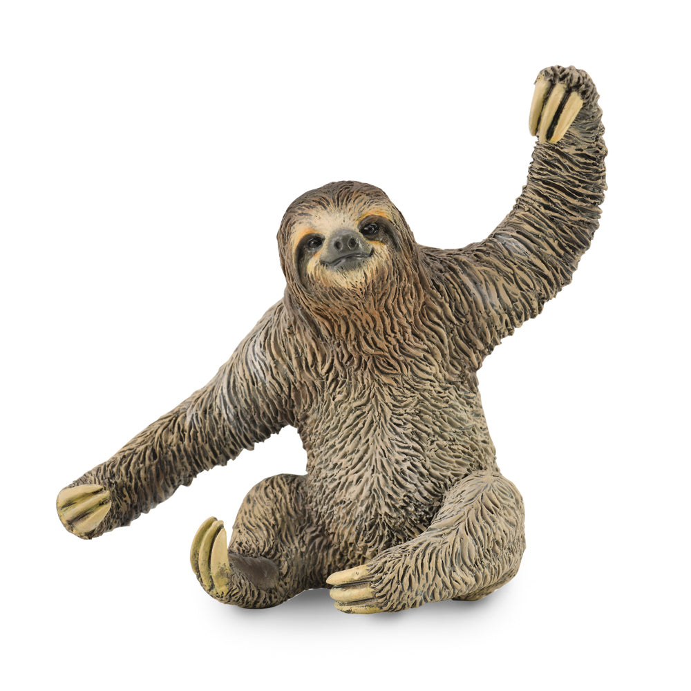 COLLECTA - SLOTH - Toyworld Frankston