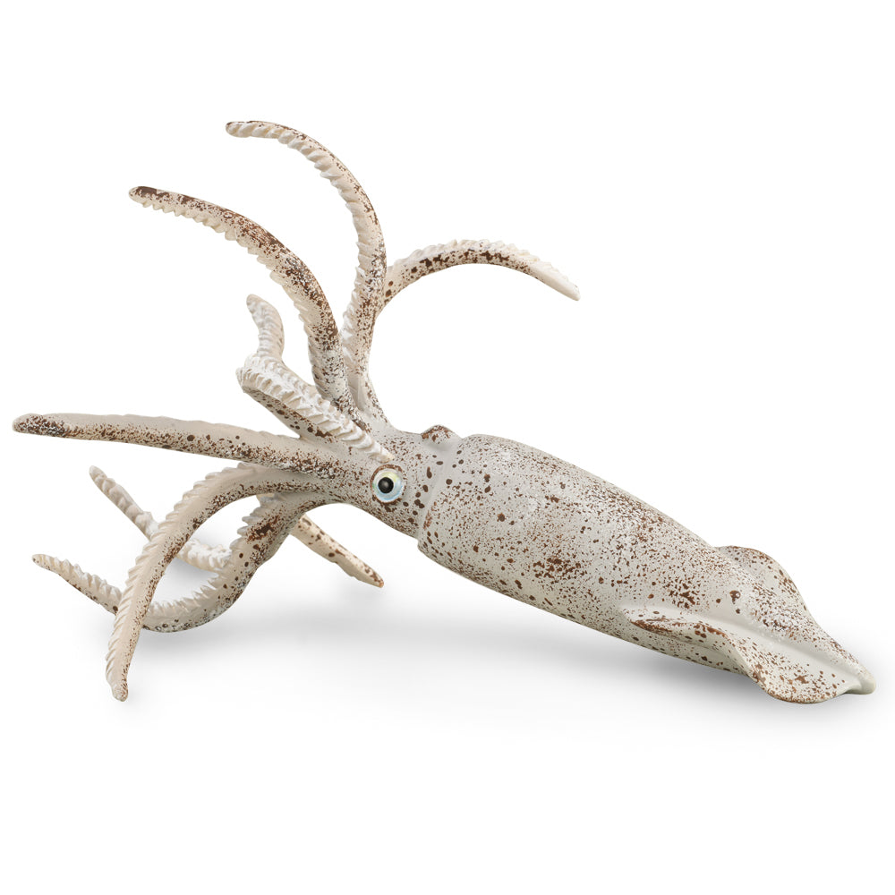COLLECTA - BELEMNITE - Toyworld Frankston