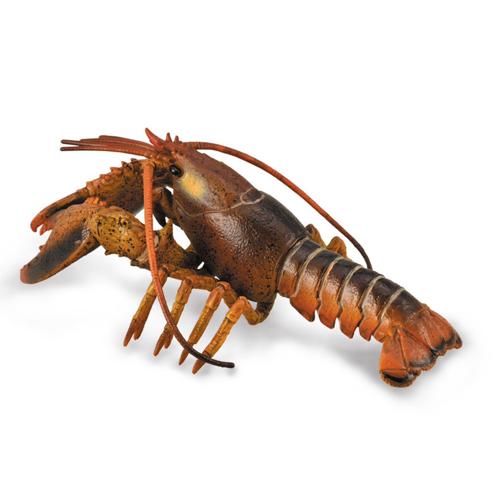 COLLECTA - LOBSTER - Toyworld Frankston