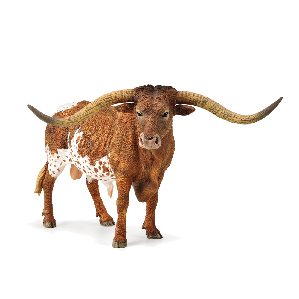 COLLECTA - TEXAS LONGHORN BULL - Toyworld Frankston