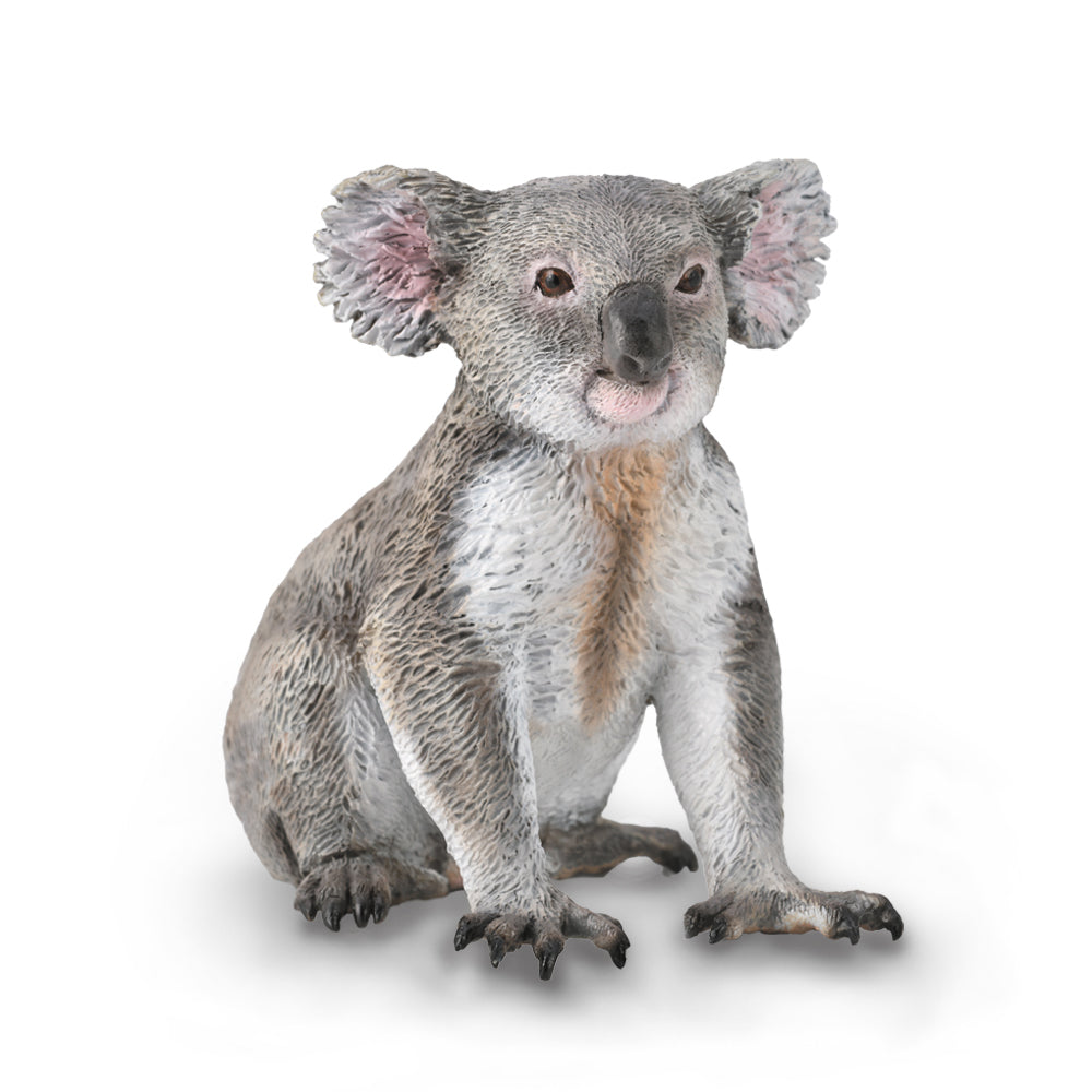 COLLECTA - KOALA - Toyworld Frankston