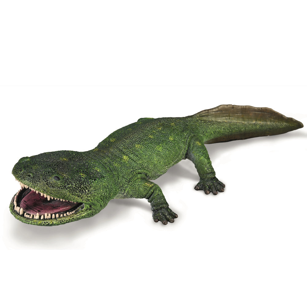 COLLECTA - KOOLASUCHUS CLEELANDI - Toyworld Frankston