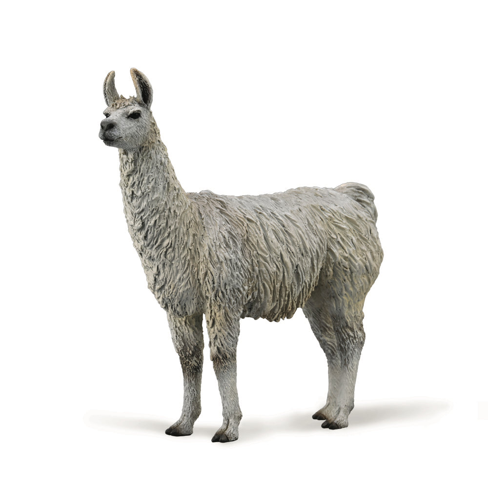 COLLECTA - LLAMA - Toyworld Frankston