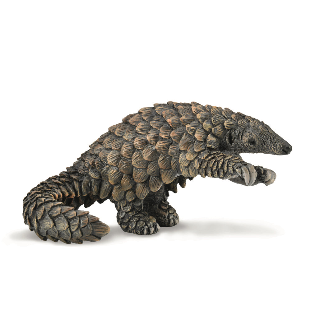 COLLECTA - PANGOLIN - Toyworld Frankston