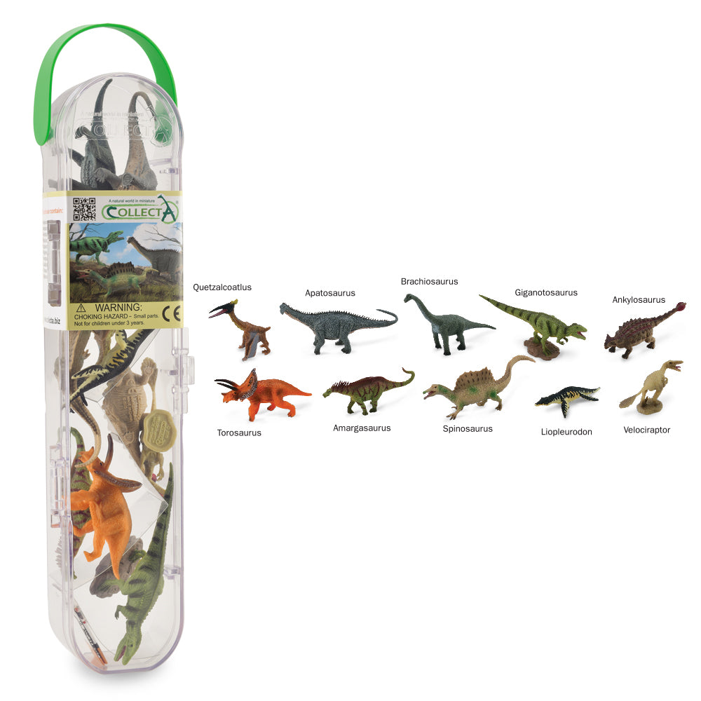 COLLECTA - DINOSAUR B 10 PIECE (TUBE) - Toyworld Frankston