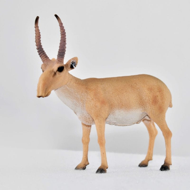 COLLECTA - SAIGA ANTELOPE