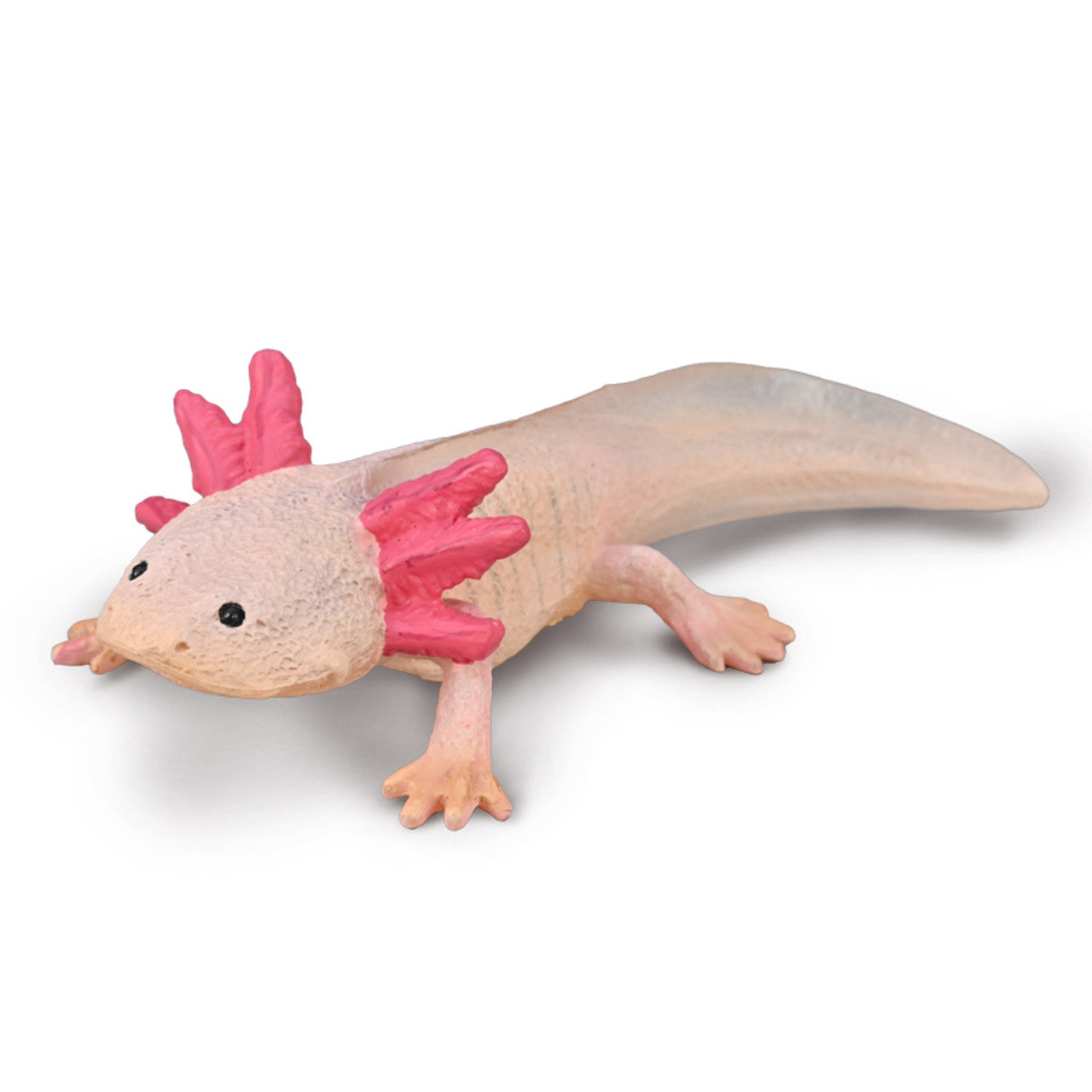 COLLECTA - AXOLOTL (M) - Toyworld Frankston