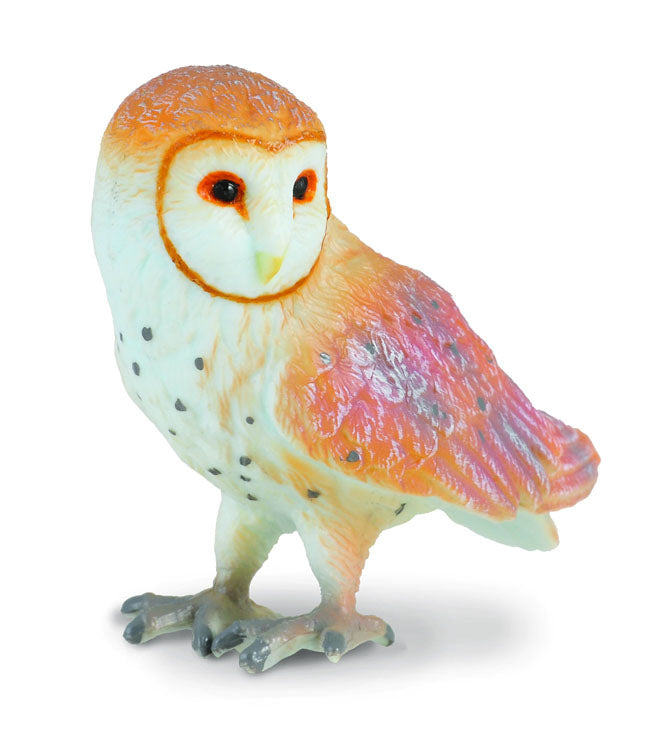 COLLECTA - BARN OWL (S) - Toyworld Frankston