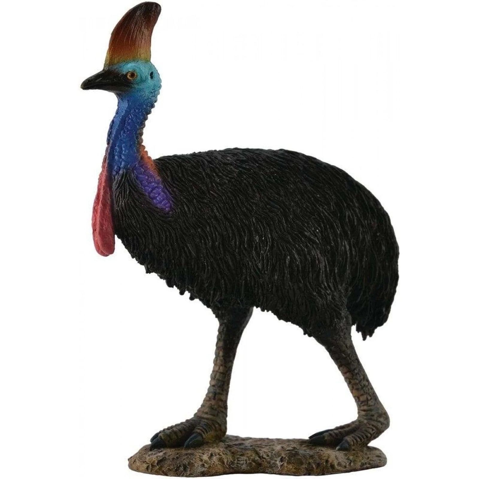 COLLECTA - CASSOWARY SOUTHERN (L) - Toyworld Frankston