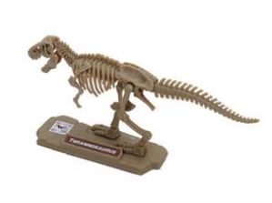 DINO VALLEY 3D POCKET FOSSIL MODEL SET - Toyworld Frankston
