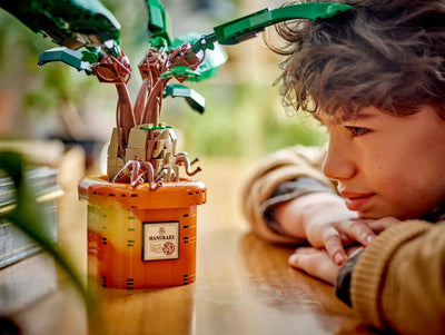LEGO 76433 HARRY POTTER MANDRAKE - Toyworld Frankston