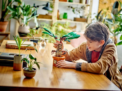 LEGO 76433 HARRY POTTER MANDRAKE - Toyworld Frankston