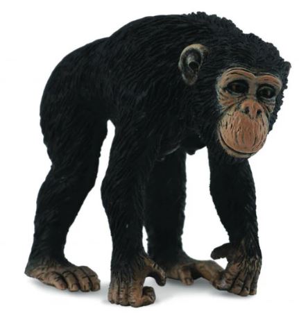 COLLECTA - CHIMPANZEE FEMALE (M) - Toyworld Frankston