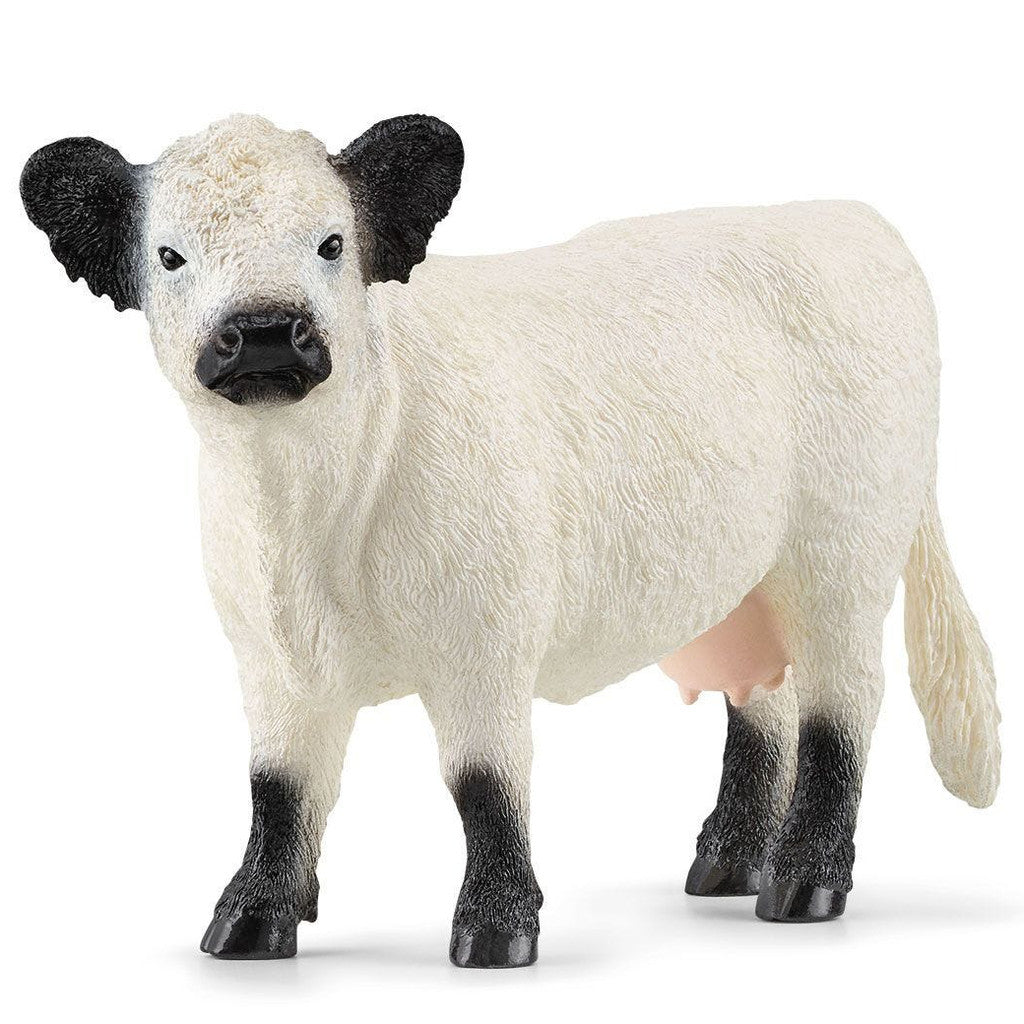 SCHLEICH - GALLOWAY COW