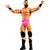 WWE BASIC FIGURE - ROBERT ROODE