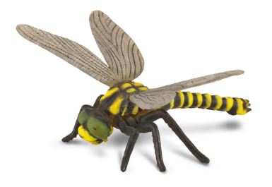 COLLECTA - GOLDEN RINGED DRAGONFLY (L) - Toyworld Frankston