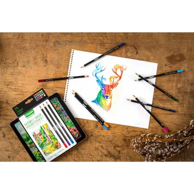 CRAYOLA 24 BLEND AND SHADE COLORED PENCILS NEW - Toyworld Frankston