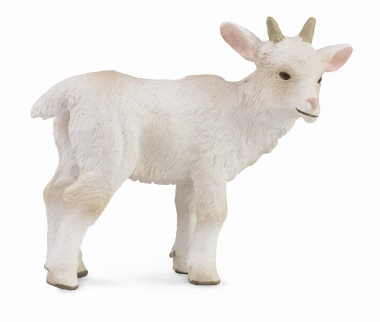 COLLECTA - GOAT KID STANDING - Toyworld Frankston