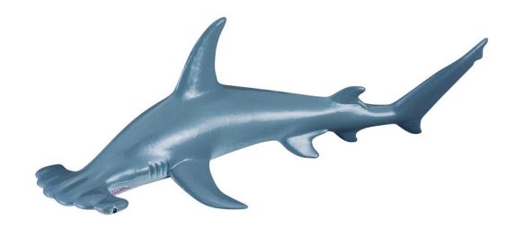 COLLECTA - SCALLOPED HAMMERHEAD SHARK (M) - Toyworld Frankston