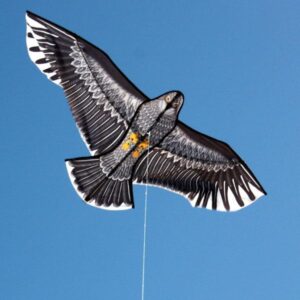 OCEAN BREEZE 861 EAGLE KITE - Toyworld Frankston