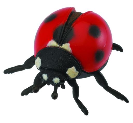 COLLECTA - LADYBIRD (M) - Toyworld Frankston