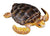 COLLECTA - LOGGERHEAD TURTLE (M) - Toyworld Frankston