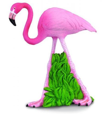 COLLECTA - FLAMINGO (M) - Toyworld Frankston