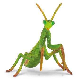 COLLECTA - PRAYING MANTIS (L) - Toyworld Frankston