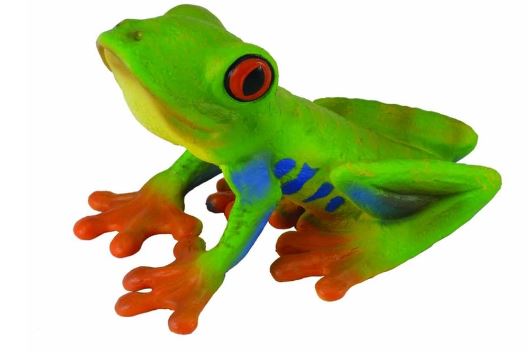 COLLECTA - RED-EYED TREE FROG (M) - Toyworld Frankston