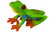 COLLECTA - RED-EYED TREE FROG (M) - Toyworld Frankston