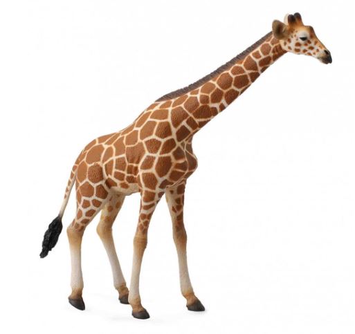 COLLECTA - RETICULATED GIRAFFE (XL) - Toyworld Frankston