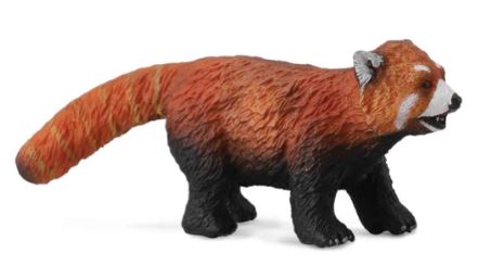COLLECTA - RED PANDA (M) - Toyworld Frankston