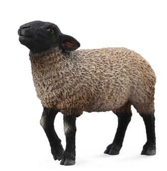 COLLECTA - SUFFOLK SHEEP (M) - Toyworld Frankston