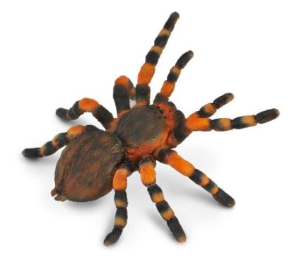 COLLECTA - RED KNEE TARANTULA (L) - Toyworld Frankston