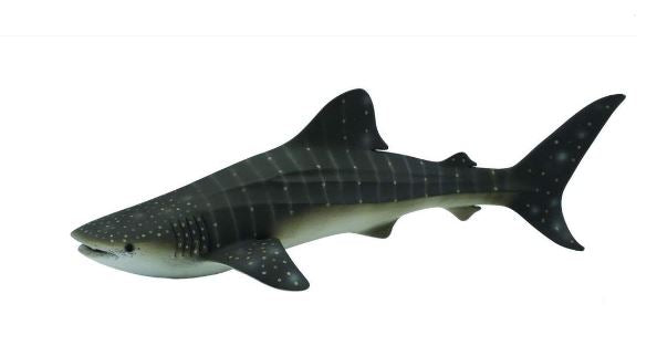 COLLECTA - WHALE SHARK (XL) - Toyworld Frankston