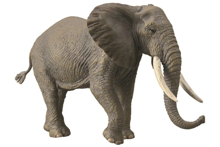 COLLECTA - AFRICAN ELPHANT - Toyworld Frankston