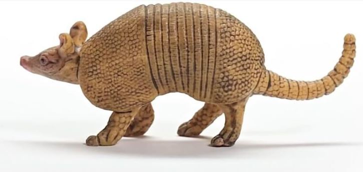 SCHLEICH - ARMADILLO - Toyworld Frankston