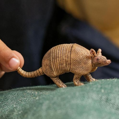 SCHLEICH - ARMADILLO - Toyworld Frankston