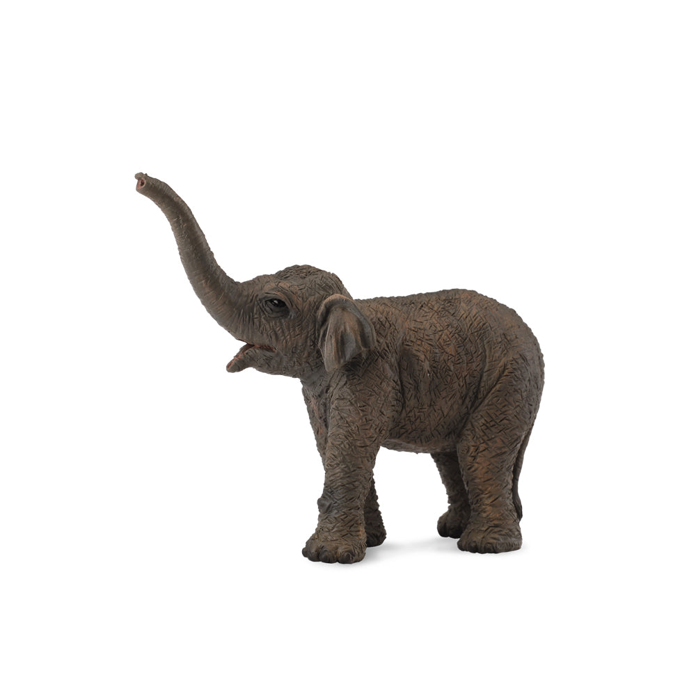 COLLECTA - ASIAN ELEPHANT CALF (S) - Toyworld Frankston