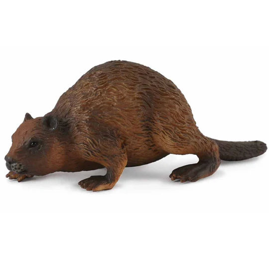 COLLECTA - BEAVER